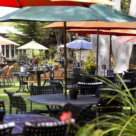 Oakdene Vineyards Guesthouse Wallington Bagian luar foto