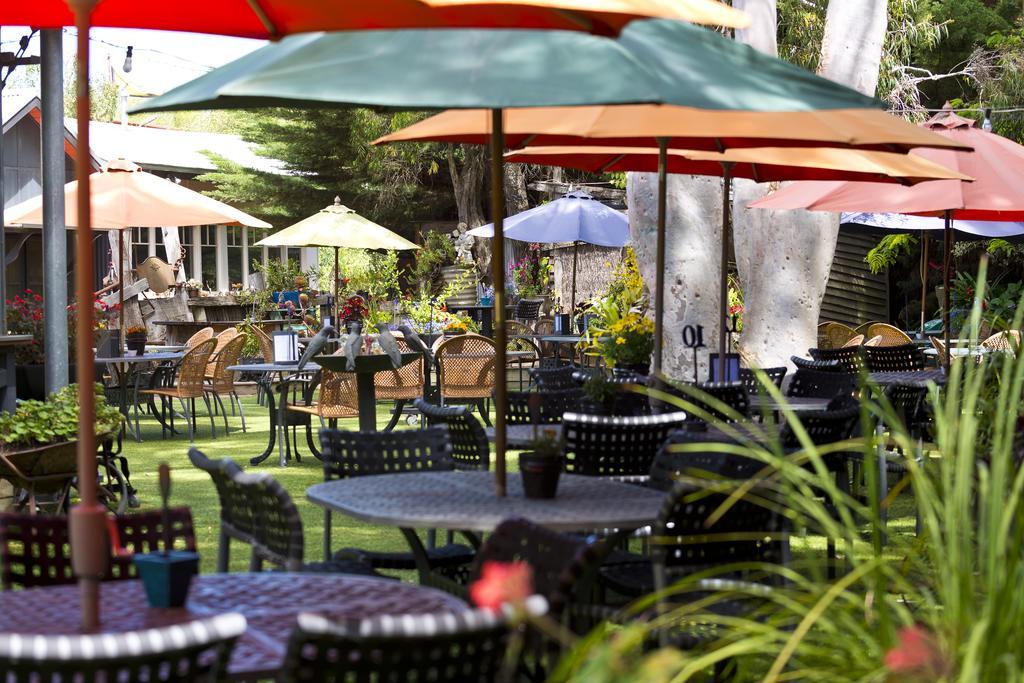 Oakdene Vineyards Guesthouse Wallington Bagian luar foto